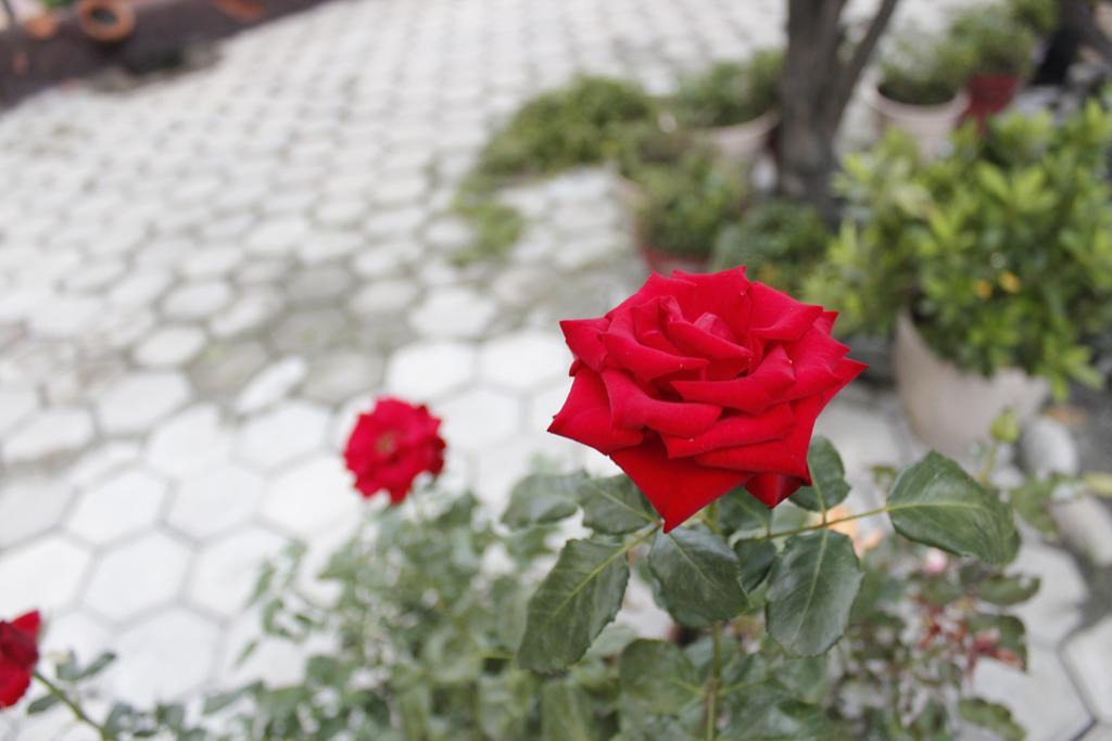 Dipankara Holiday Home Kathmandu Ngoại thất bức ảnh